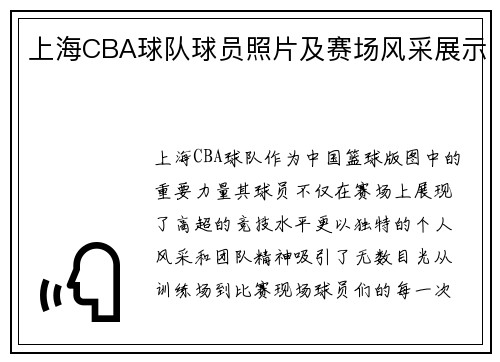 上海CBA球队球员照片及赛场风采展示