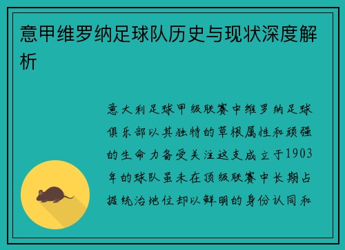 意甲维罗纳足球队历史与现状深度解析